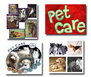 Pet Care